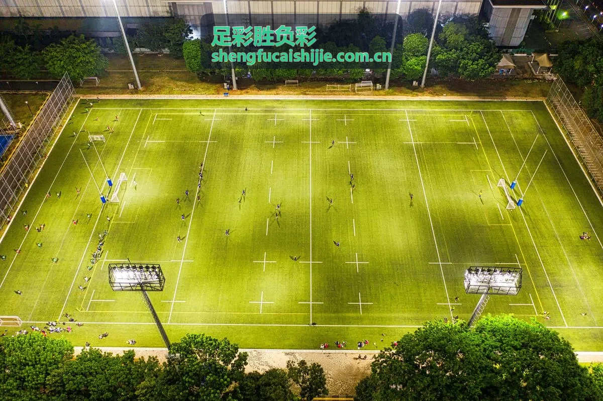 五大联赛足彩胜负彩分析
